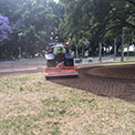 Photo of the Hyde Park re-turf project